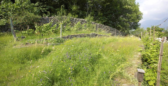 Giardino naturale